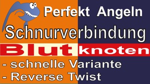 Video Blurknoten