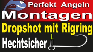 Drop Shot mit Rigring