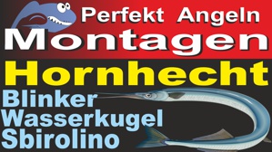 Hornhecht mit Blinker Sbirolino Wasserkugel