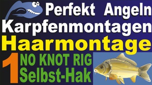 Karpfenmontagen TEIL 1
