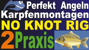Karpfenmontagen TEIL 2