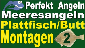 Plattfische Montagen