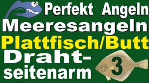 Plattfischangeln Teil 3