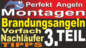 Brandungsangeln Teil 3